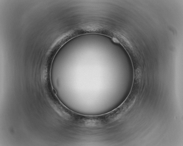 X0000115710400200911121430