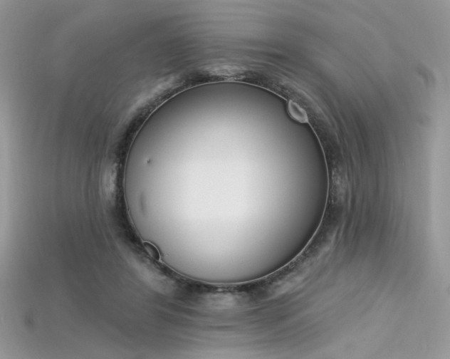 X0000115710404200911121430