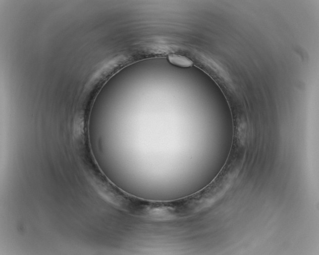 X0000115710407200911121430