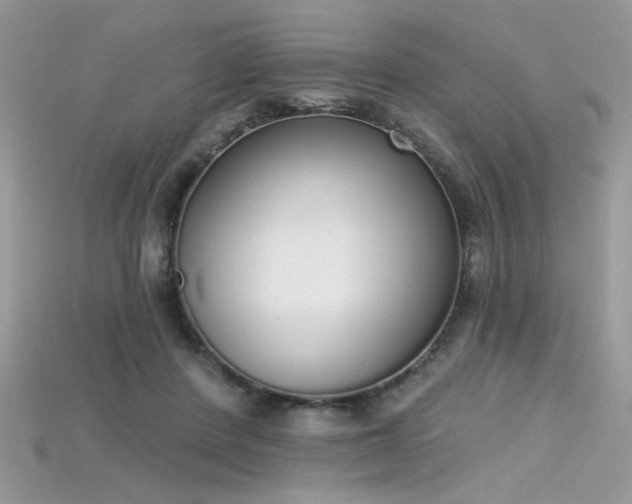 X0000115710408200911121430