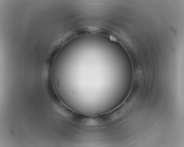 X0000115710412200911121430