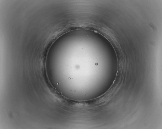 X0000115710415200911121429