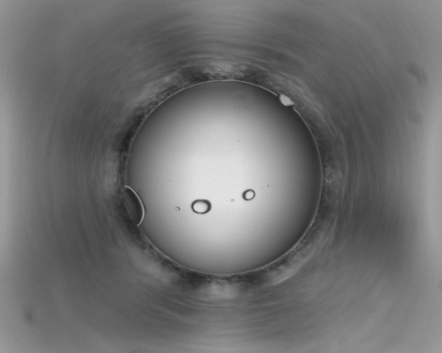 X0000115710416200911121429