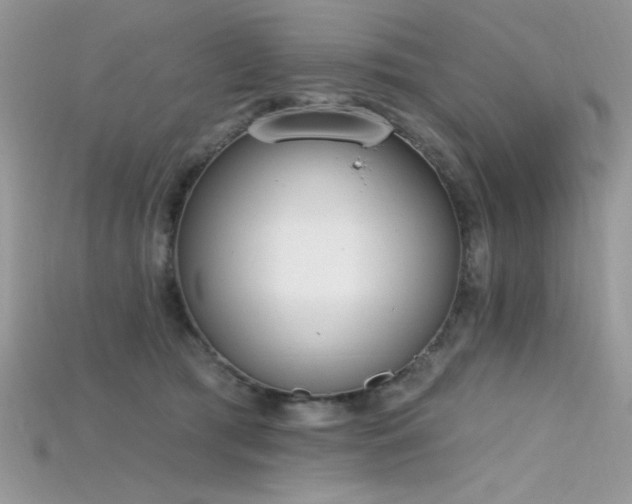 X0000115710417200911121429