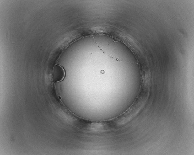 X0000115710418200911121429