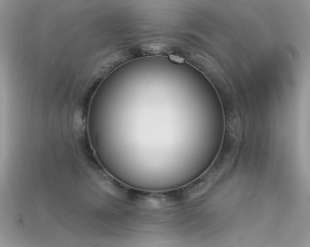 X0000115710420200911121429