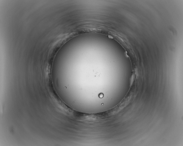 X0000115710423200911121429