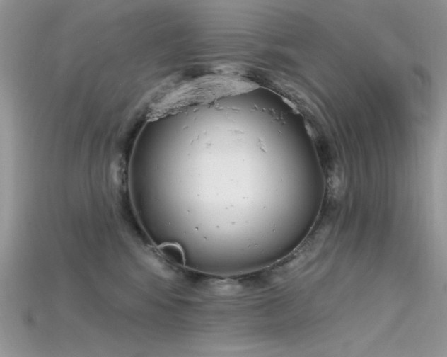 X0000115710424200911121429