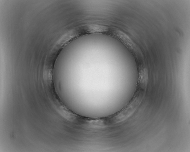 X0000115710426200911121429