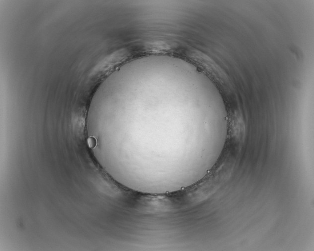 X0000115710427200911121429