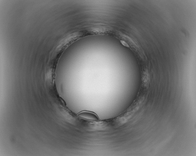 X0000115710428200911121429