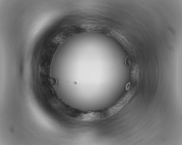 X0000115710430200911121429