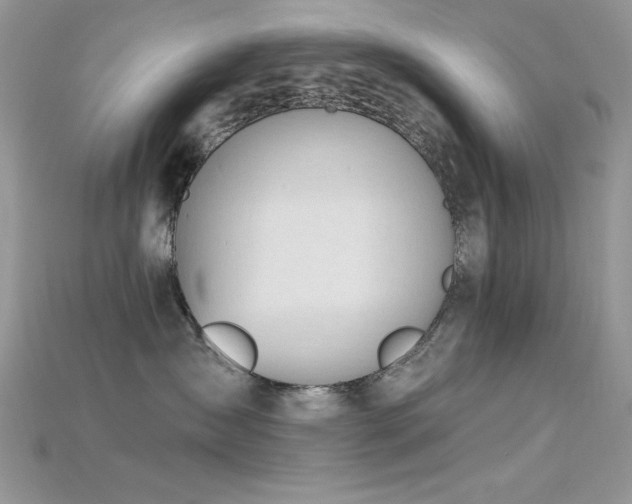 X0000115710431200911121429