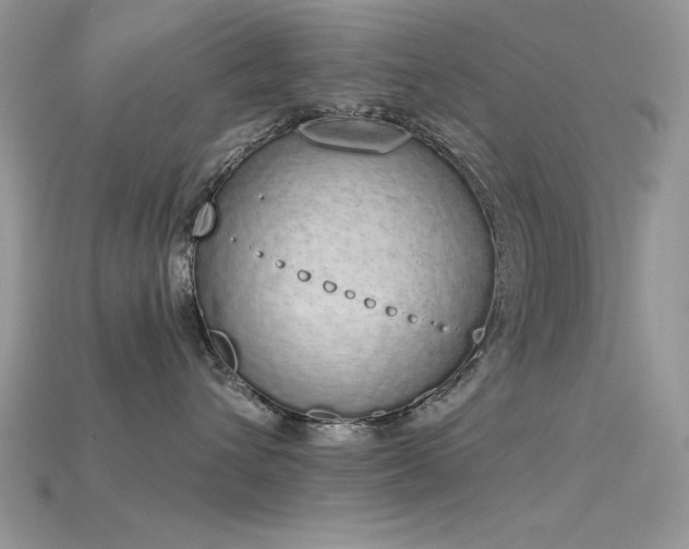 X0000115710432200911121429