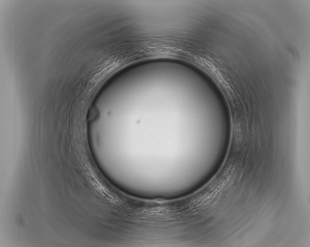 X0000115710433200911121429