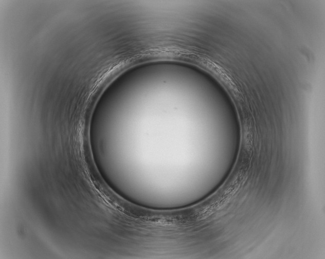 X0000115710434200911121429