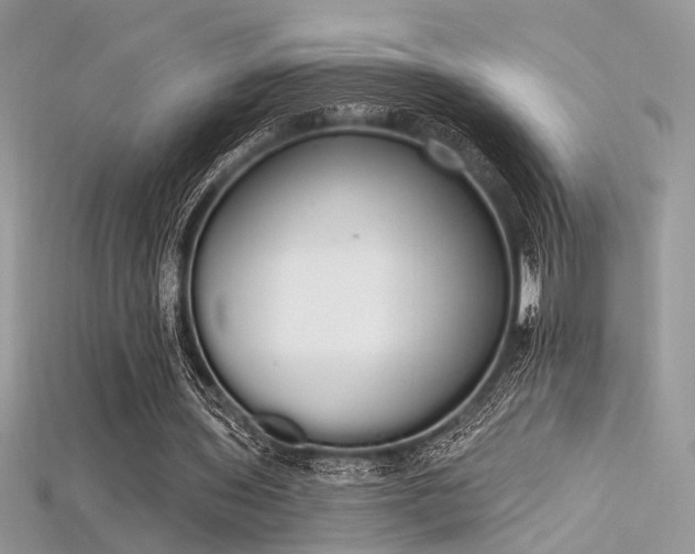 X0000115710435200911121429