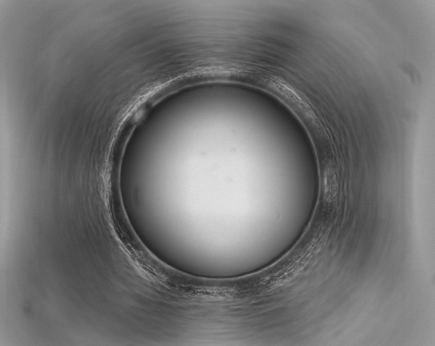 X0000115710436200911121429