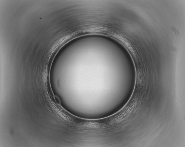 X0000115710437200911121429