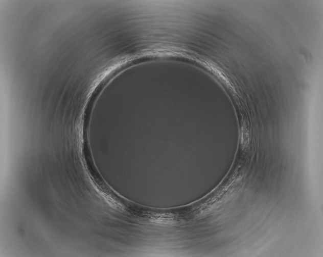 X0000115710438200911121429