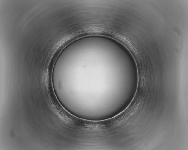 X0000115710439200911121429