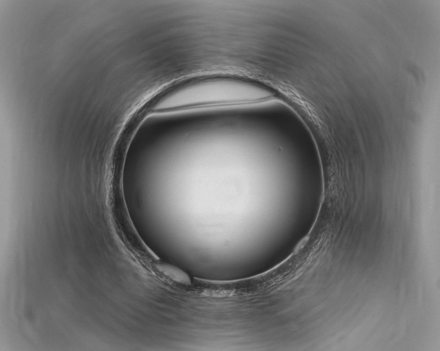 X0000115710440200911121429