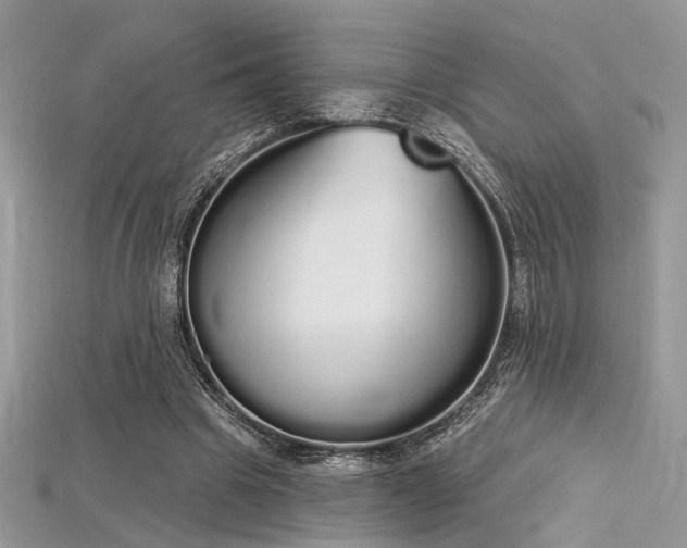 X0000115710441200911121429