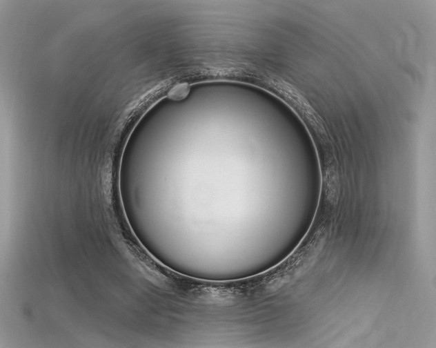 X0000115710442200911121429