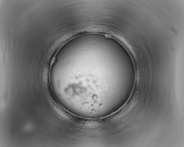 X0000115710445200911121429