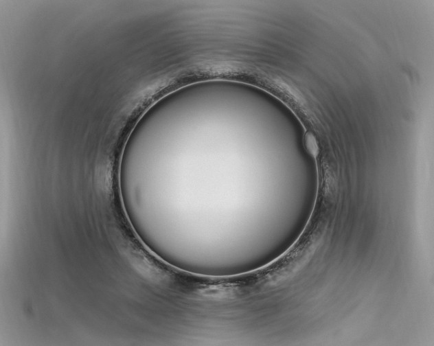 X0000115710447200911121429