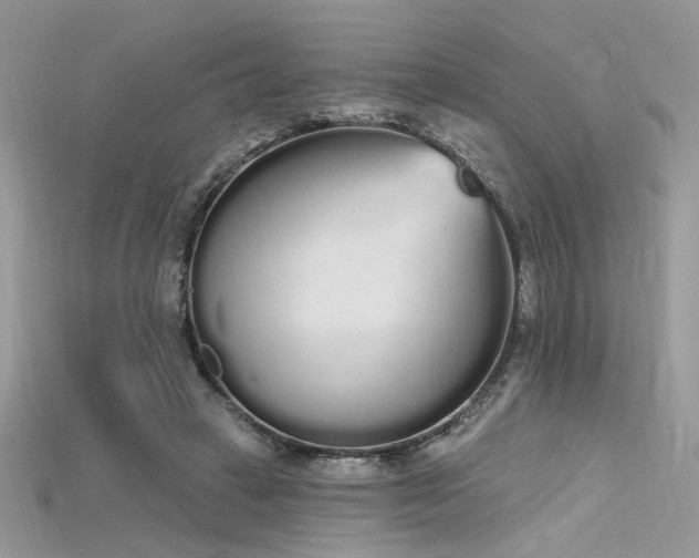 X0000115710449200911121429