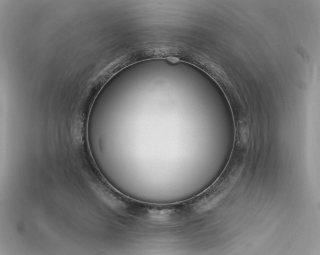 X0000115710450200911121429