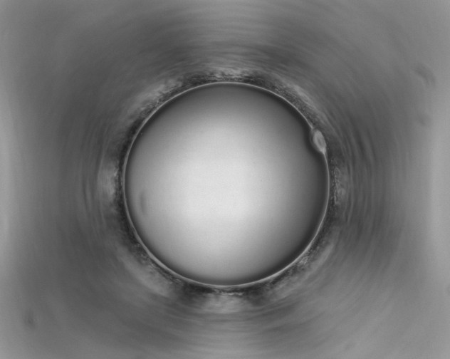 X0000115710451200911121429