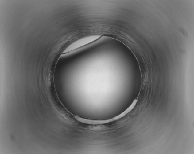 X0000115710452200911121429