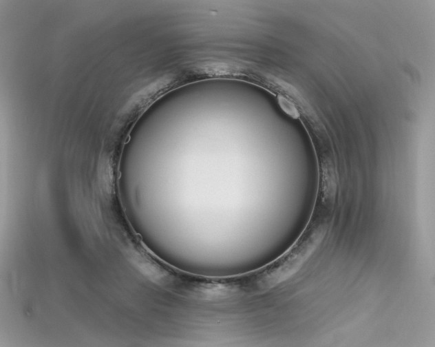 X0000115710453200911121429