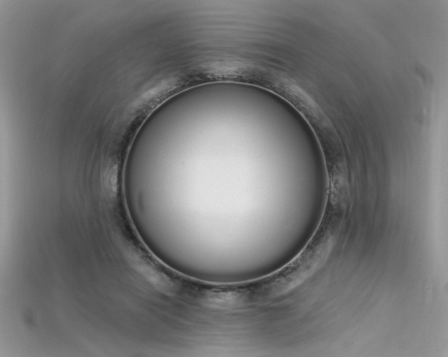 X0000115710454200911121429