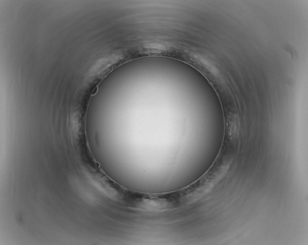 X0000115710455200911121429