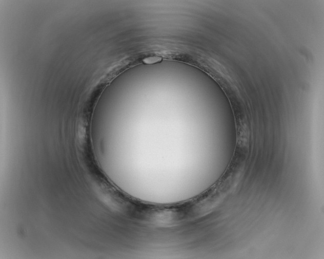 X0000115710456200911121429