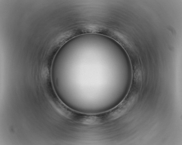 X0000115710459200911121429