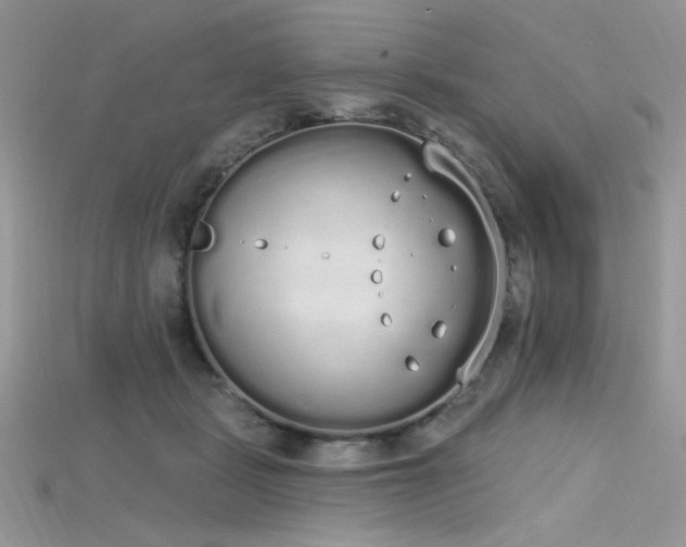 X0000115710461200911121429