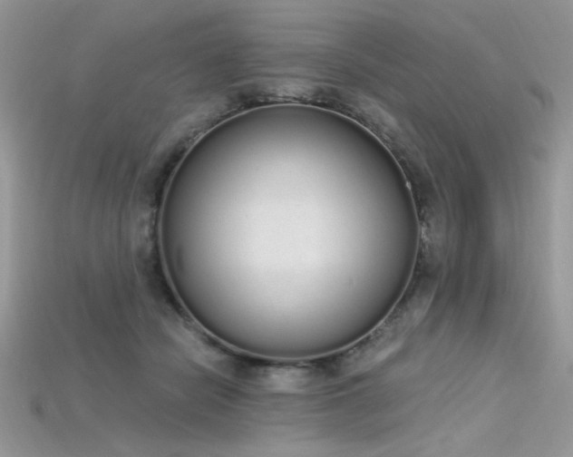 X0000115710462200911121429