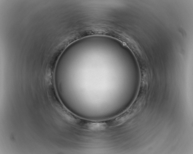 X0000115710465200911121429