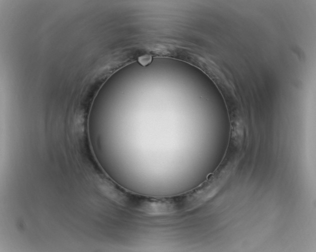 X0000115710466200911121429