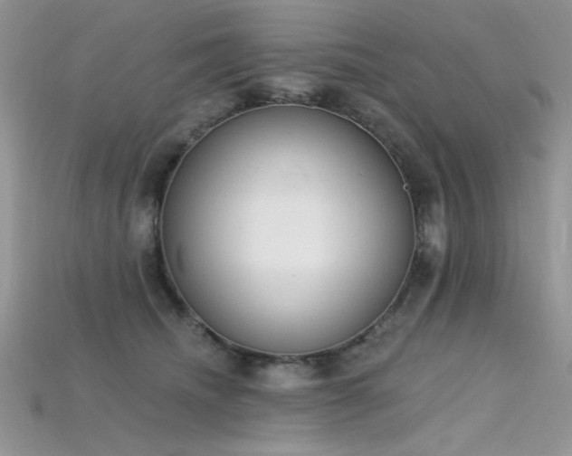 X0000115710468200911121429