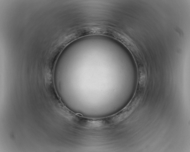 X0000115710469200911121429