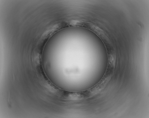 X0000115710470200911121429