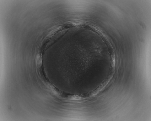 X0000115710471200911121429