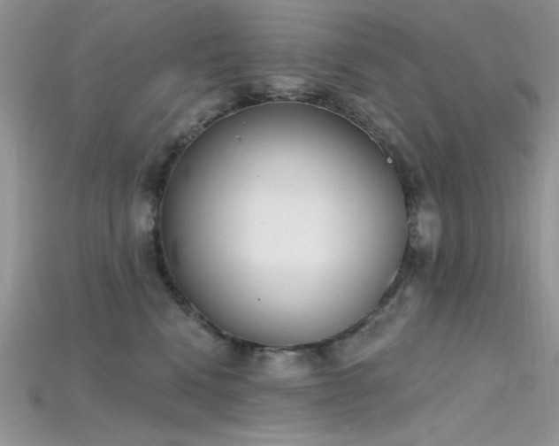 X0000115710472200911121429