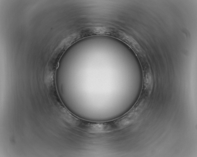 X0000115710473200911121429