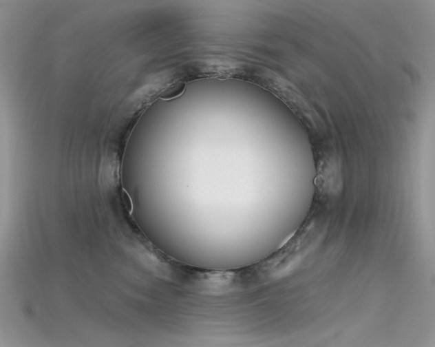 X0000115710474200911121429